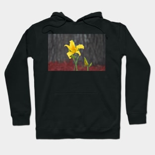 Yellow Stargazer Lily Hoodie